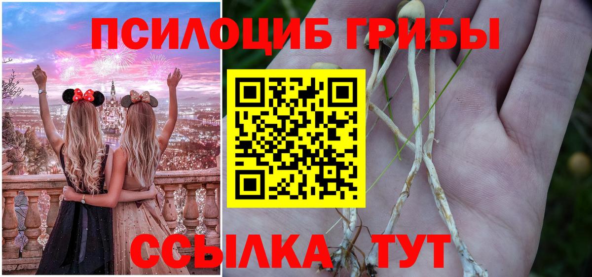 Галлюциногенные грибы Psilocybe  Вход с VPN  Галлюциногенные грибы Cubensis  Изобильный 
